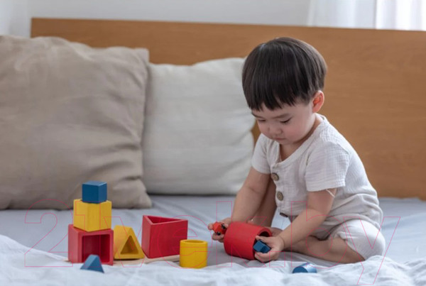 Изображение товара Сортер Plan Toys Геометрия / 5463