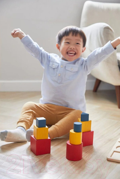 Изображение товара Сортер Plan Toys Геометрия / 5463