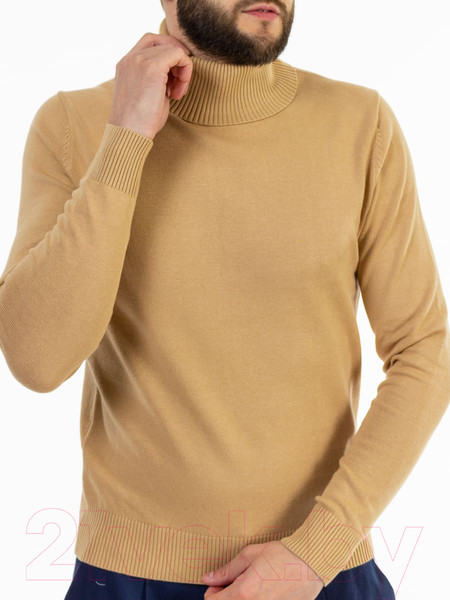 Изображение товара Водолазка Isee SG100067J (р.56, бежевый)