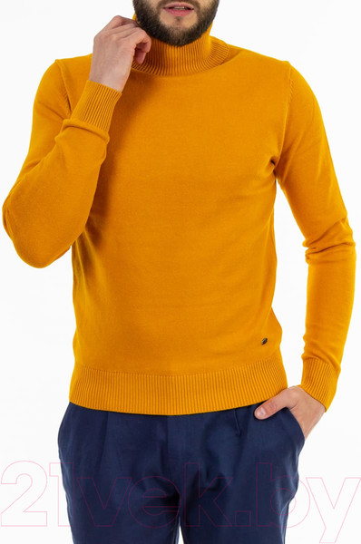 Изображение товара Водолазка Isee SG100067J  (р.54, желтый)