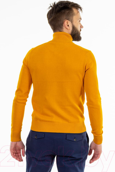 Изображение товара Водолазка Isee SG100067J  (р.56, желтый)