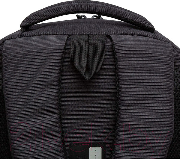 Изображение товара Рюкзак Grizzly RU-430-8 (черный)