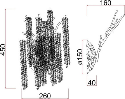 Изображение товара Бра Divinare Salice 3133/01 AP-2