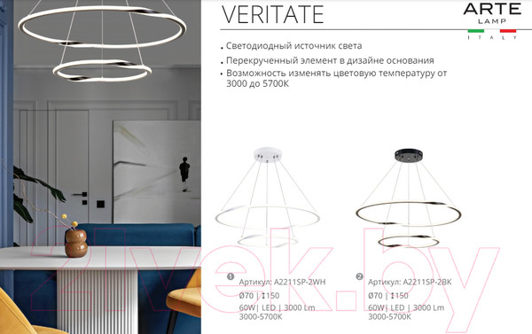 Изображение товара Потолочный светильник Arte Lamp Veritate A2211SP-2BK