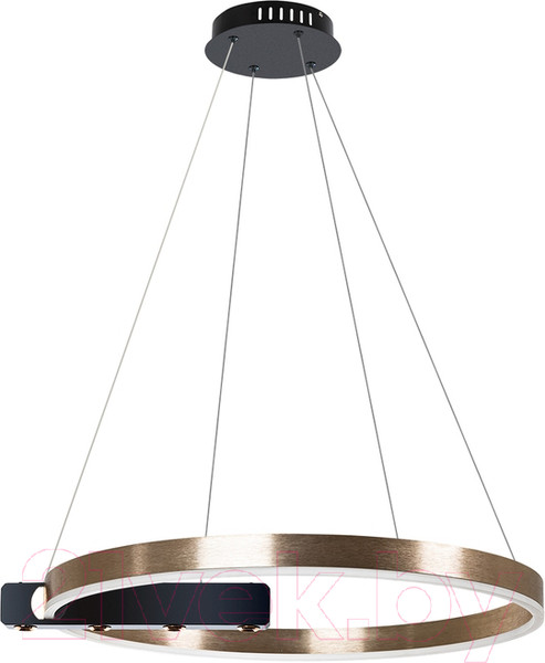 Изображение товара Потолочный светильник Arte Lamp Veritate A2221SP-1BR