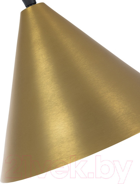 Изображение товара Потолочный светильник Arte Lamp David A7033SP-1BK