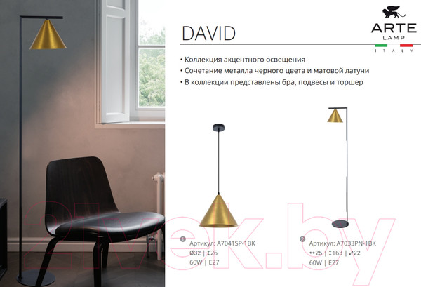Изображение товара Потолочный светильник Arte Lamp David A7033SP-1BK