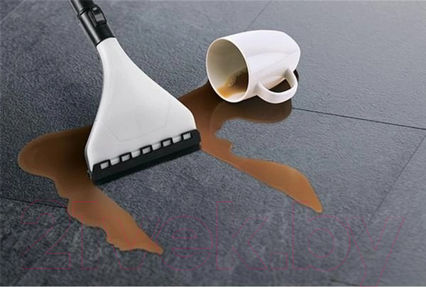 Изображение товара Пылесос Zelmer ZVC9150D