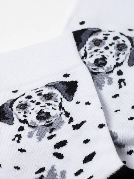 Изображение товара Носки Брестские Pets 4200 рис.157 (р.40-43, белый)