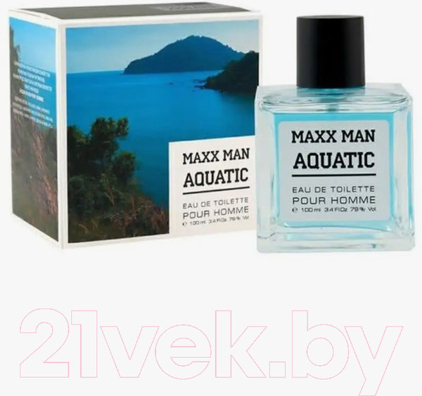 Изображение товара Туалетная вода Delta Parfum Maxx Man Aquatic (100мл)