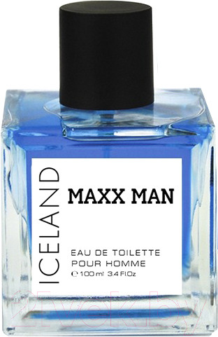 Изображение товара Туалетная вода Delta Parfum Maxx Man Iceland (100мл)