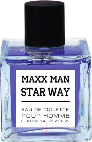 Изображение товара Туалетная вода Delta Parfum Maxx Man Starway (100мл)