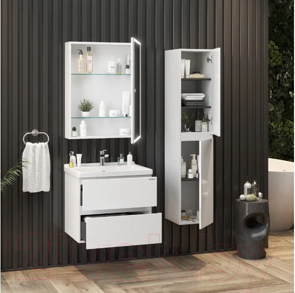 Изображение товара Шкаф с зеркалом для ванной Onika Орби 60 (206087)