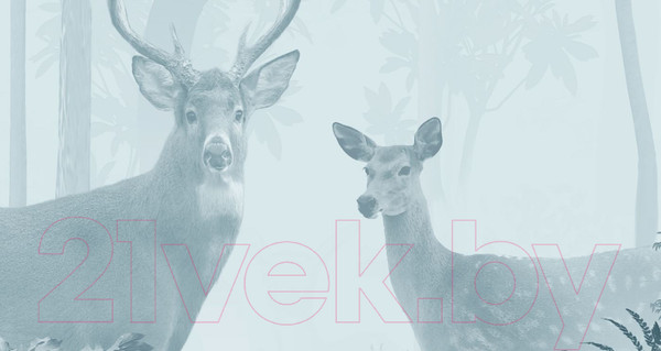 Изображение товара Фотообои листовые ФабрикаФресок Олени в Лесу / 943270 (300x270)