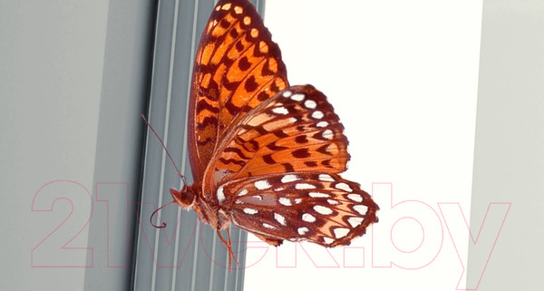 Изображение товара Фотообои листовые ФабрикаФресок 3D Абстракция. Бабочки. Колонны и Розы / 1032270 (200x270)