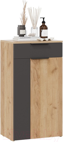 Изображение товара Тумба для обуви ТриЯ Асти НМ (дуб крафт золотой/антрацит)