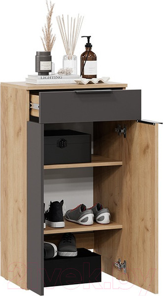 Изображение товара Тумба для обуви ТриЯ Асти НМ (дуб крафт золотой/антрацит)
