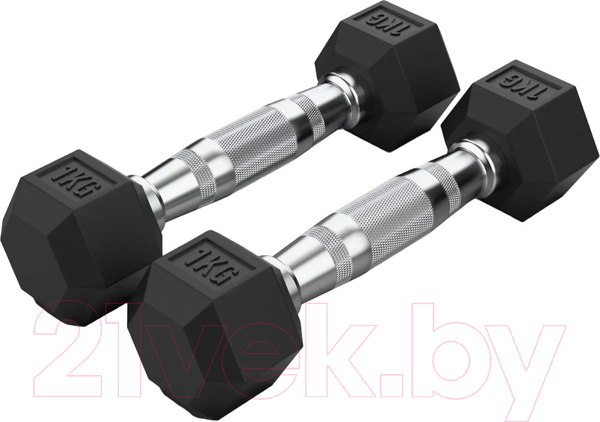 Изображение товара Гантель VictoryFit VF-H010 (1кг)