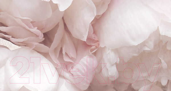 Изображение товара Фотообои листовые ФабрикаФресок Нежные Пионы 3D / 1193270 (300x270)