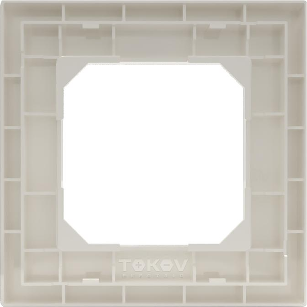 Изображение товара Рамка для выключателей и розеток Tokov Electric Pixel TKE-PX-RM1-C02 (бежевый)