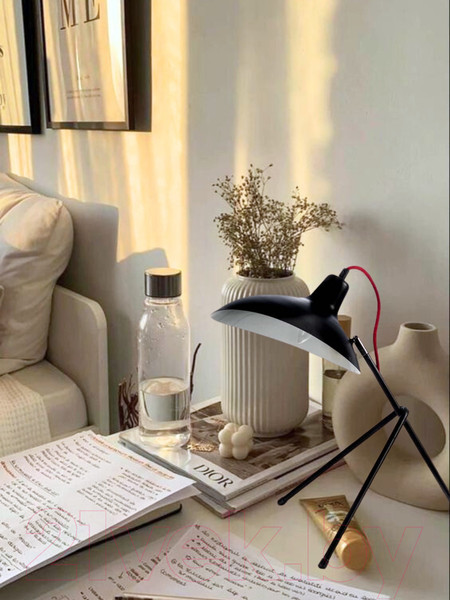 Изображение товара Настольная лампа Aitin-Pro MT3478/1C