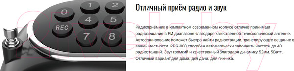 Изображение товара Радиоприемник Ritmix RPR-008 (черный)