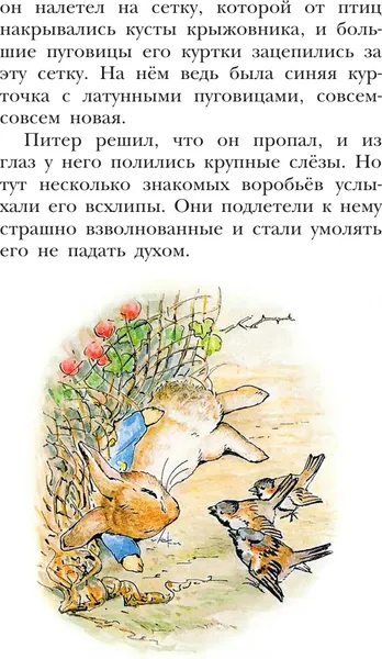 Изображение товара Художественная книга АСТ Приключения кролика Питера, твердая обложка (Поттер Беатрис)