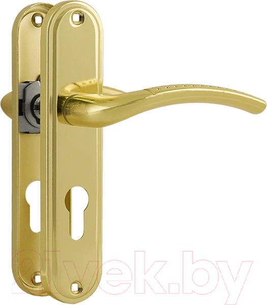 Изображение товара Ручка дверная Нора-М 796А-55мм (золото)