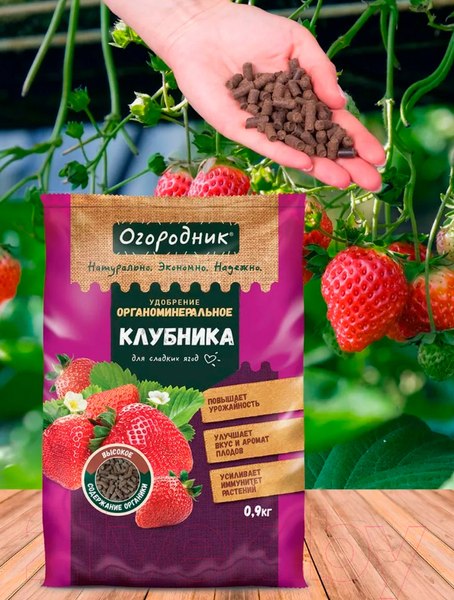 Изображение товара Удобрение Огородник Для клубники органоминеральное (900г)