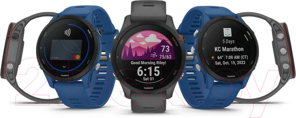 Изображение товара Умные часы Garmin Forerunner 255 46mm / 010-02641-10 (Slate Grey)