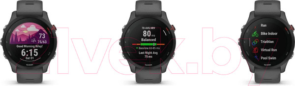 Изображение товара Умные часы Garmin Forerunner 255 46mm / 010-02641-10 (Slate Grey)
