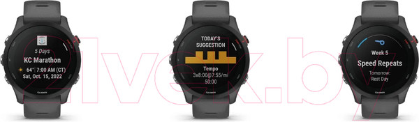 Изображение товара Умные часы Garmin Forerunner 255 46mm / 010-02641-10 (Slate Grey)