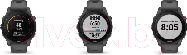 Изображение товара Умные часы Garmin Forerunner 255 46mm / 010-02641-10 (Slate Grey)