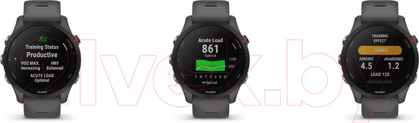 Изображение товара Умные часы Garmin Forerunner 255 46mm / 010-02641-10 (Slate Grey)