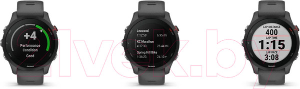 Изображение товара Умные часы Garmin Forerunner 255 46mm / 010-02641-10 (Slate Grey)