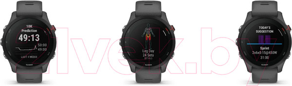 Изображение товара Умные часы Garmin Forerunner 255 46mm / 010-02641-10 (Slate Grey)