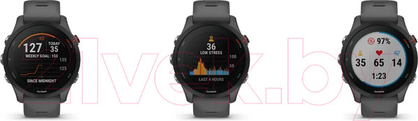 Изображение товара Умные часы Garmin Forerunner 255 46mm / 010-02641-10 (Slate Grey)