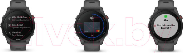 Изображение товара Умные часы Garmin Forerunner 255 46mm / 010-02641-10 (Slate Grey)