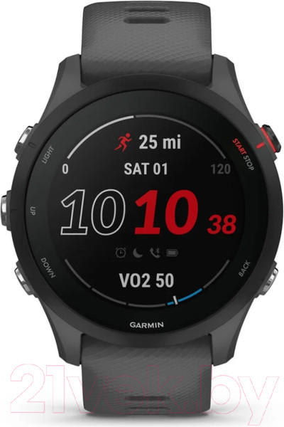 Изображение товара Умные часы Garmin Forerunner 255 46mm / 010-02641-10 (Slate Grey)