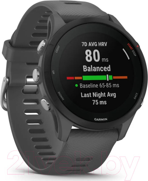 Изображение товара Умные часы Garmin Forerunner 255 46mm / 010-02641-10 (Slate Grey)