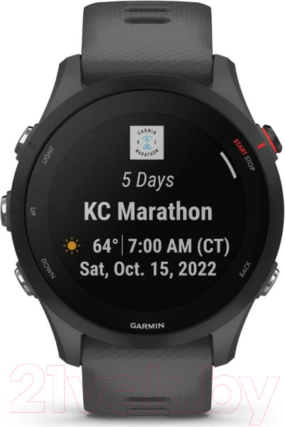 Изображение товара Умные часы Garmin Forerunner 255 46mm / 010-02641-10 (Slate Grey)