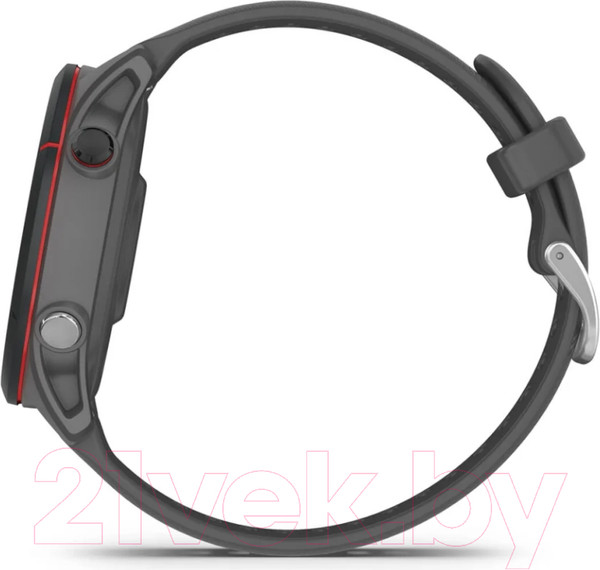 Изображение товара Умные часы Garmin Forerunner 255 46mm / 010-02641-10 (Slate Grey)