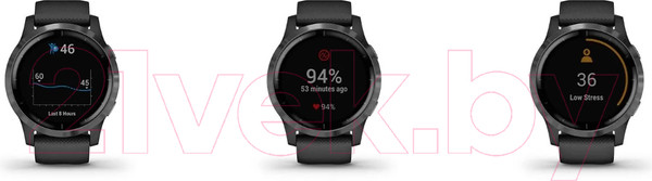 Изображение товара Умные часы Garmin Vivoactive 4 45mm / 010-02174-11 (Slate/Black)