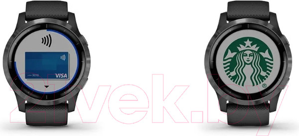 Изображение товара Умные часы Garmin Vivoactive 4 45mm / 010-02174-11 (Slate/Black)