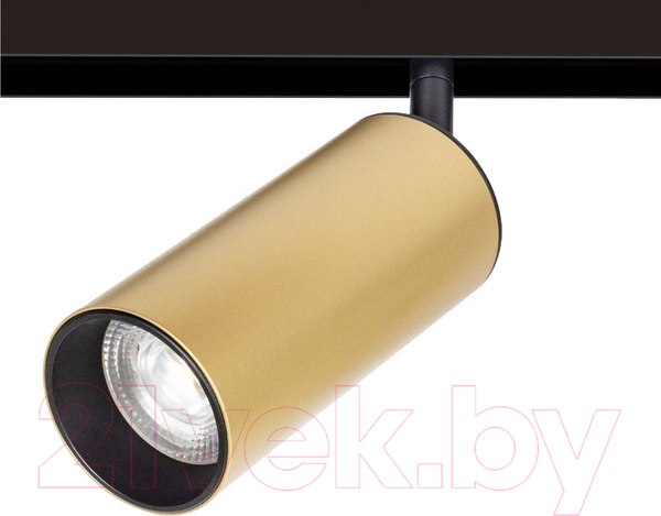 Изображение товара Трековый светильник Arte Lamp Linea A4661PL-1SG