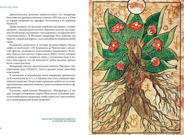 Изображение товара Книга КоЛибри Викка. Зеленая магия, растения и ритуалы, твердая обложка (Дуглас Скотти ди Виголено)