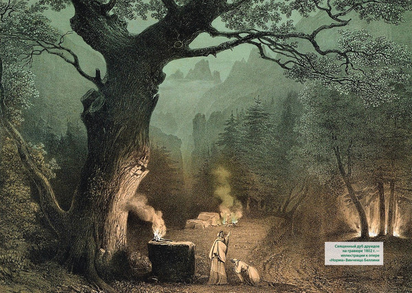 Изображение товара Книга КоЛибри Викка. Зеленая магия, растения и ритуалы, твердая обложка (Дуглас Скотти ди Виголено)