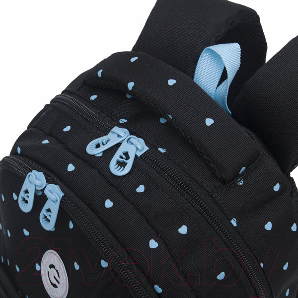 Изображение товара Школьный рюкзак Grizzly RG-460-6 (черный)