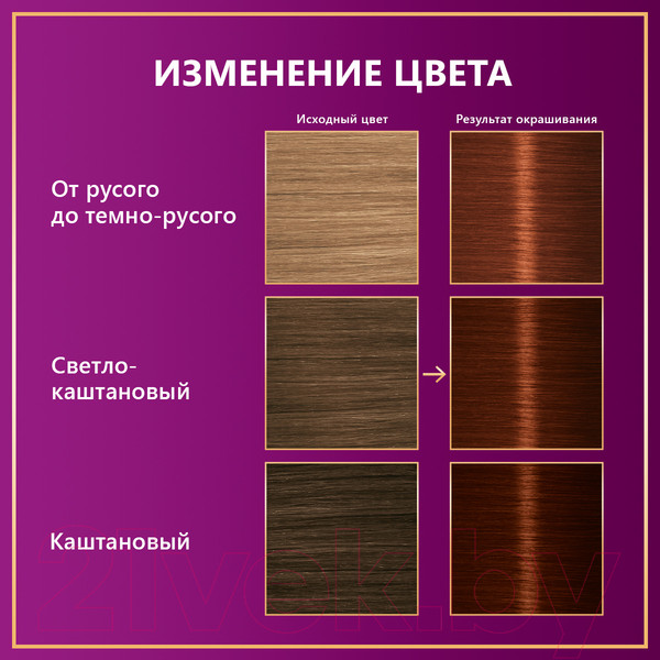 Изображение товара Крем-краска для волос Палетт Стойкая R4 / 5-68 (каштан)