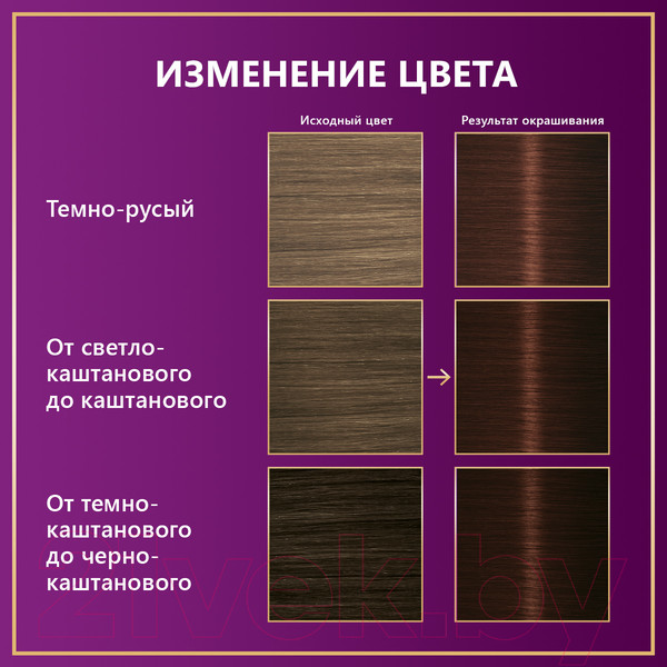 Изображение товара Крем-краска для волос Палетт Стойкая WN3 / 4-60 (золотистый кофе)